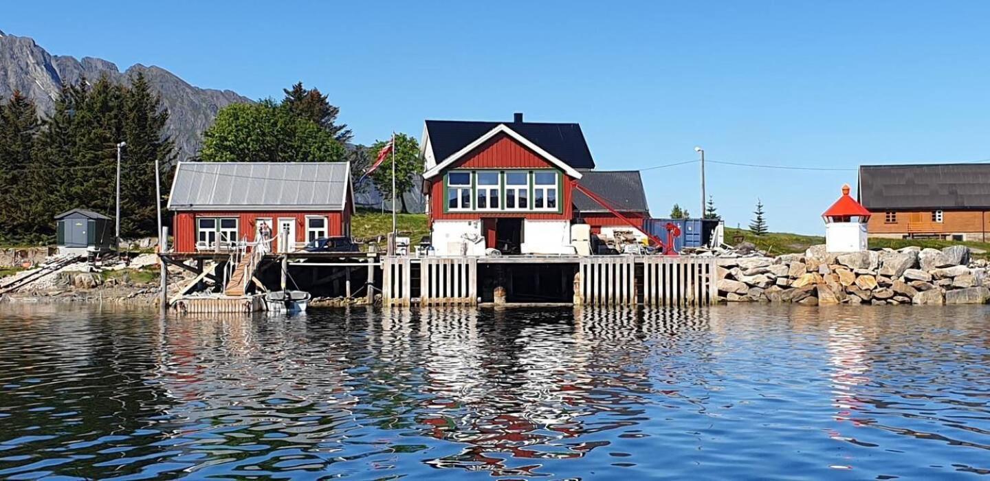 Arctic Lofoten Mini Retreat - Enjoy The Silence! Vestvagoy エクステリア 写真